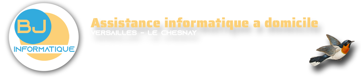 Assistance Informatique à domicile